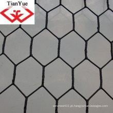 Hot mergulhado Galvanizado Hexagonal Wire Mesh (TYC-0050)